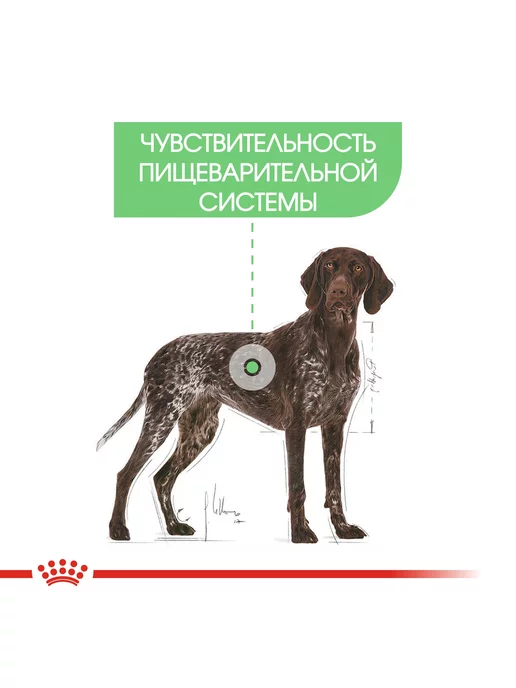 Сухой корм Royal canin Пищеварением для собак, крупные, чувствительное пищеварение, 12 кг, фото 4