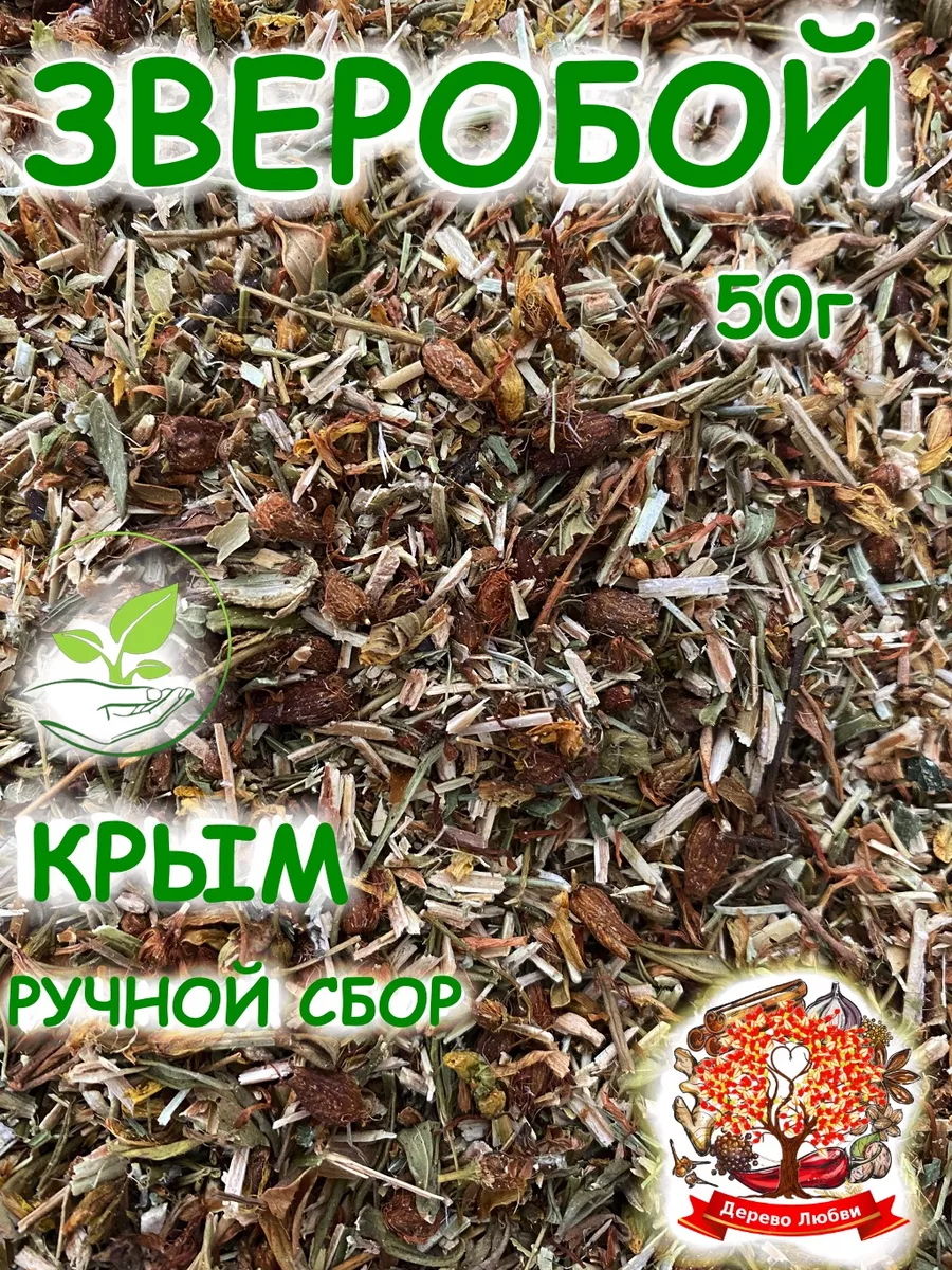 Зверобой трава