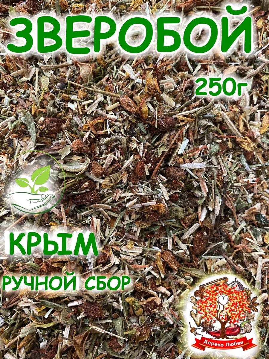 Зверобой трава