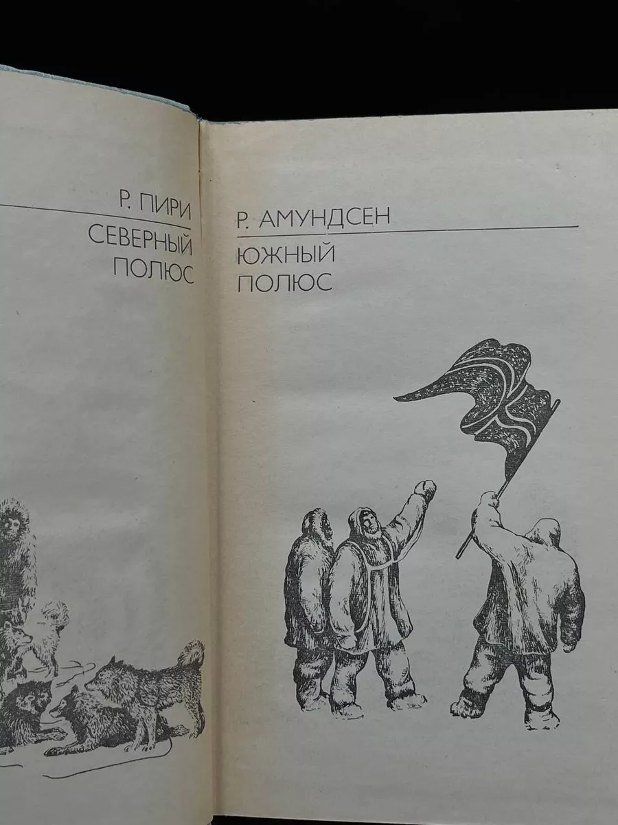 Р. Пири. Северный полюс. Р. Амундсен. Южный полюс Мысль 173434814 купить в  интернет-магазине Wildberries