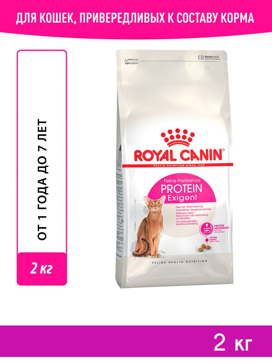 Роял канин для привередливых. Роял Канин Эксиджент для кошек. Royal Canin Protein exigent. RC exigent Protein preference для кошек 2 кг. Эдьюк Роял Канин лакомство.