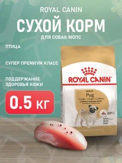 Корм сухой Pug Adult для собак Мопс 0,5 кг ROYAL CANIN 173456730 купить за 579 ₽ в интернет-магазине Wildberries