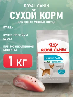 Интернет-магазин Wildberries: широкий ассортимент товаров - скидки каждый день!