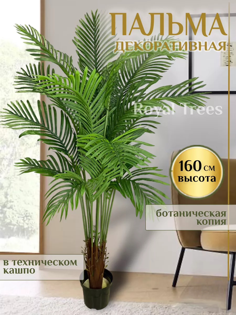 Искусственное дерево Пальма 160 Royal Trees 173475707 купить за 8 759 ₽ в  интернет-магазине Wildberries