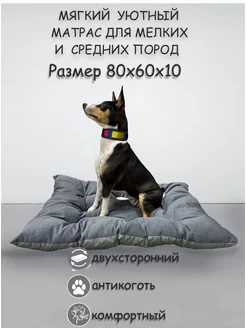 Лежанка для собак для средних пород Bubble DOGMODA 173480503 купить за 1 016 ₽ в интернет-магазине Wildberries