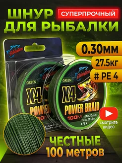 Плетенка для рыбалки 0.30 мм #PE 4 100 м Evolution 173514060 купить за 252 ₽ в интернет-магазине Wildberries