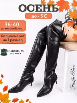 Ботфорты демисезонные на каблуке Raffa Shoes 173518258 купить за 4 329 ₽ в интернет-магазине Wildberries