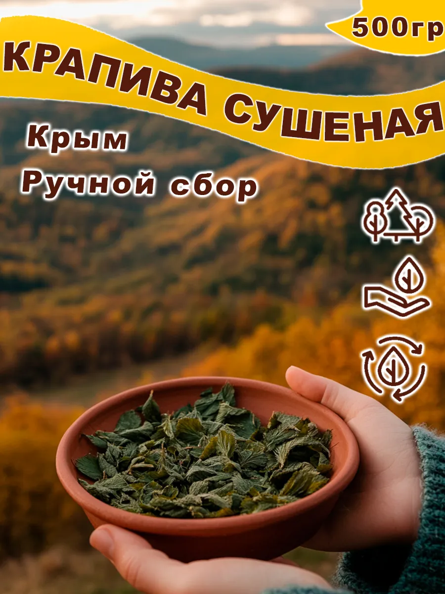 Крапива сушеная