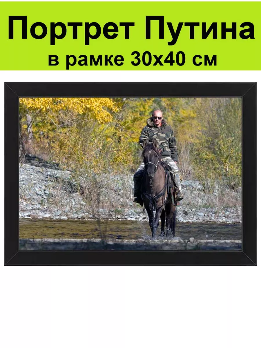 Портрет Путина в рамке 30х40 см / Путин на лошади, на коне СССР 173563801  купить за 1 717 ₽ в интернет-магазине Wildberries