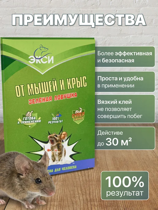 KUDZU Мышеловка для мышей клеевая ловушка от крыс, вариант, фото 3