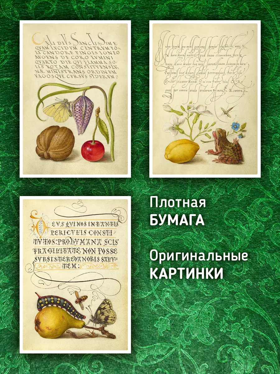 Древнерусская книжная миниатюра