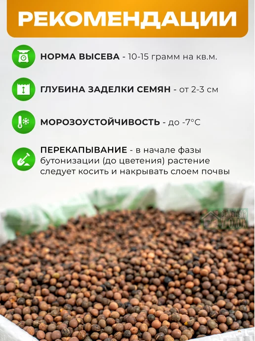 ЗЕЛЕНЫЙ УГОЛОК Семена Вика яровая 5 кг, 10 кг, фото 2