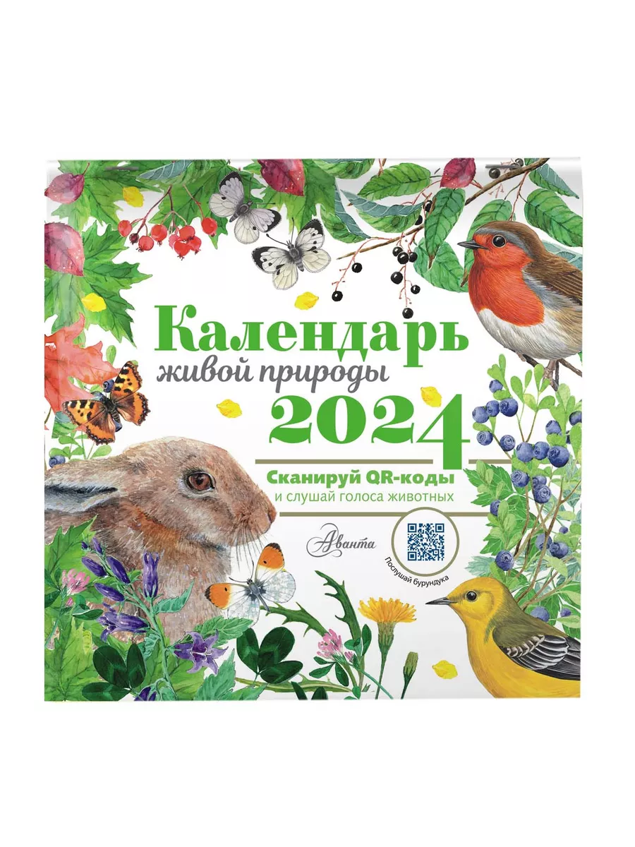 Календарь живой природы с голосами животных 2024 год Издательство АСТ  173636842 купить в интернет-магазине Wildberries