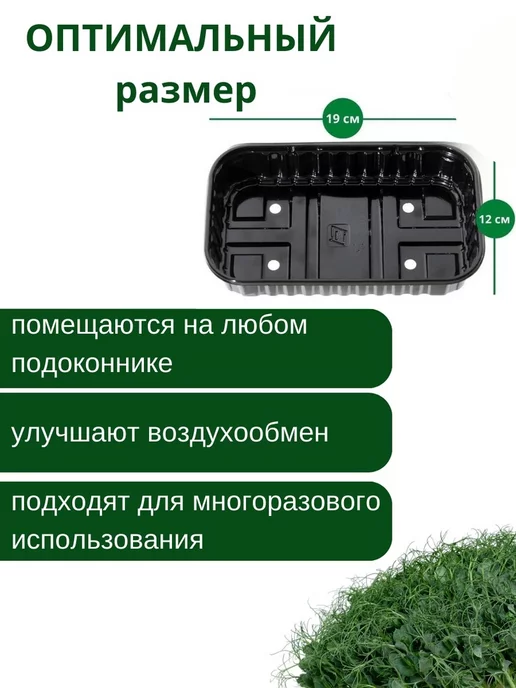 МатрёшкаВКУСА Набор для выращивания Микрозелени, 5 шт, фото 5