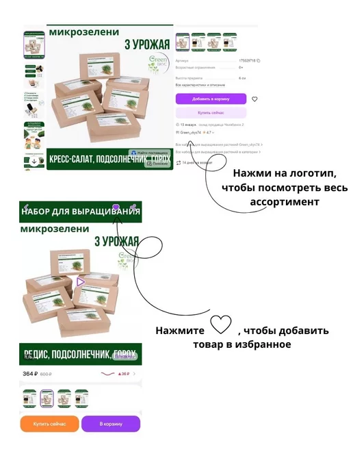 МатрёшкаВКУСА Набор для выращивания Микрозелени, 5 шт, фото 6
