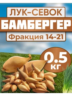 Лук севок для посадки Бамбергер 0.5кг Лук-Севок 173690381 купить за 588 ₽ в интернет-магазине Wildberries