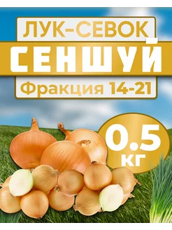 Лук севок для посадки Сеншуй 0.5кг Лук-Севок 173690382 купить за 321 ₽ в интернет-магазине Wildberries