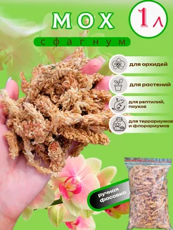 Мох сфагнум для орхидей и комнатных растений 1л Spagmoss 173710148 купить за 479 ₽ в интернет-магазине Wildberries