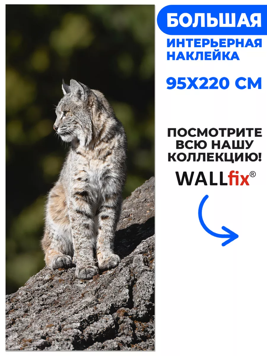 Наклейка Рысь, 95х220 см Wallfix 173758946 купить за 2 002 ₽ в  интернет-магазине Wildberries