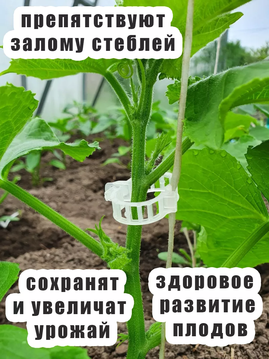 Опоры для томатов своими руками: как быстро подвязать все растения