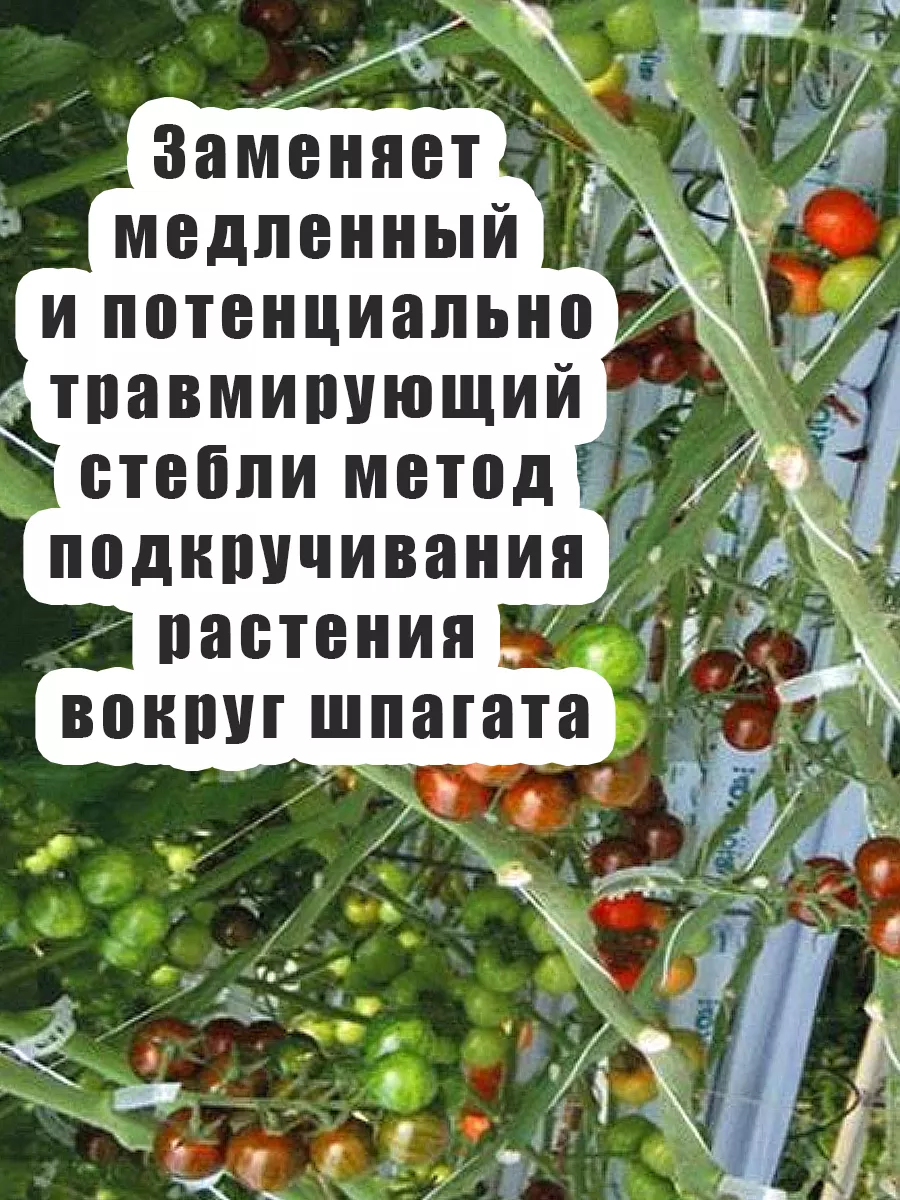 Клипсы садовые для растений и томатов подвязка помидоров FitoPlanter - все  для рассады 173813957 купить за 257 ₽ в интернет-магазине Wildberries