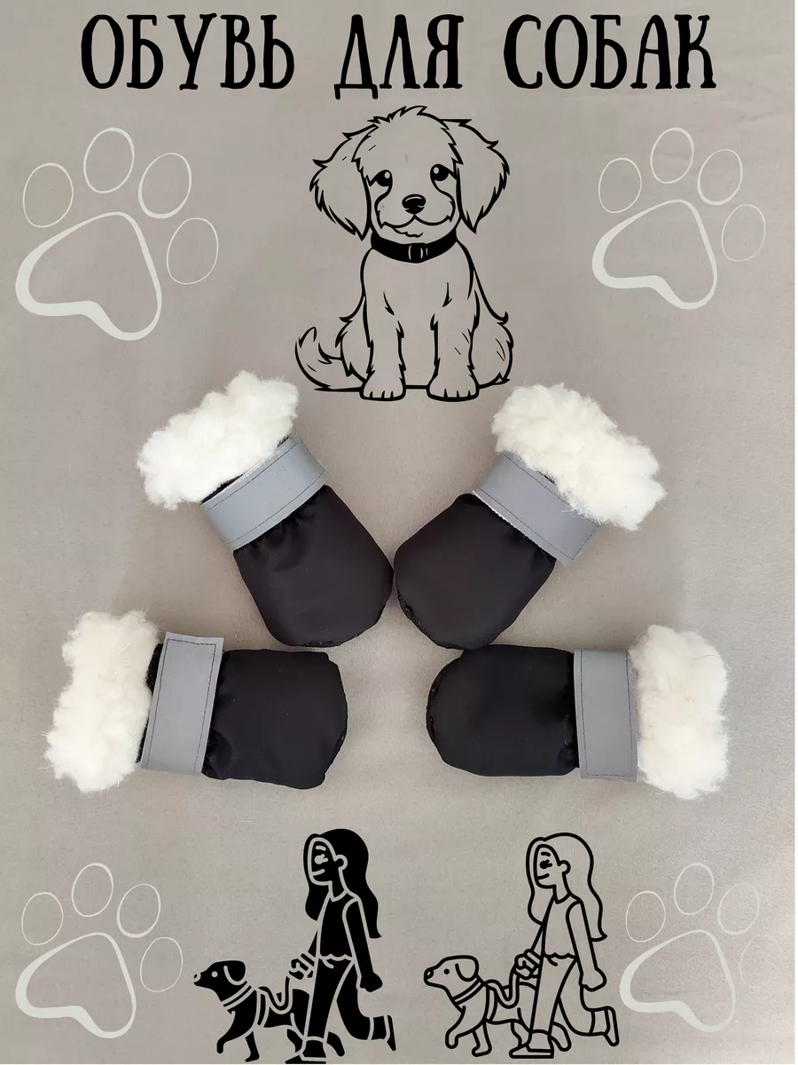 Нужна ли вашей собаке одежда и обувь зимой? Читайте ответ ветеринара!