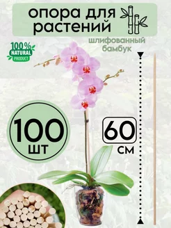 Опора для растений и цветов колышки подвязка бамбук 60 см БАМБУК ОПОРЫЧ 173817991 купить за 587 ₽ в интернет-магазине Wildberries