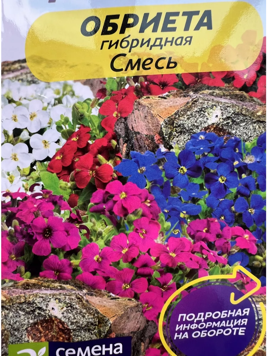 Семена Обриета гибридная...