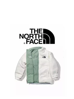 Куртка THE NORTH FACE 173841884 купить за 4 257 ₽ в интернет-магазине Wildberries