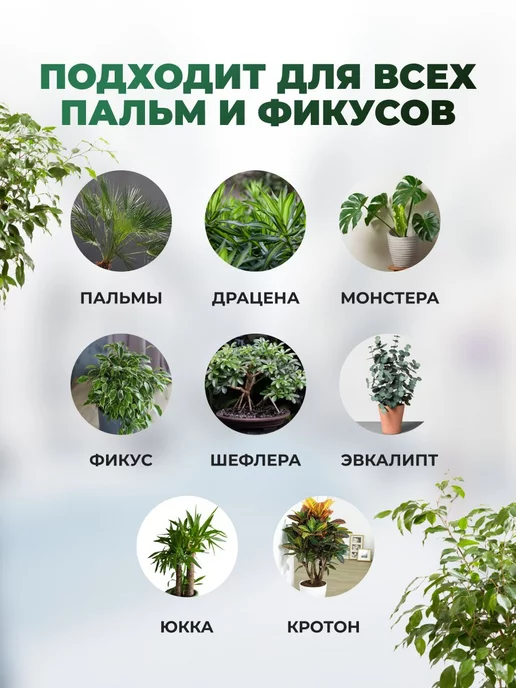 Сила Суздаля Грунт для фикуса и пальм 10 литров, вариант, фото 2
