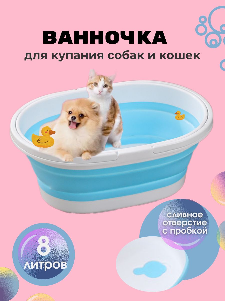 Ванночка для собак. Картинка ванночка для собаки.