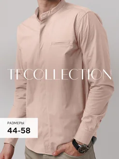 Рубашка с длинным рукавом приталенная TFcollection 173921466 купить за 983 ₽ в интернет-магазине Wildberries