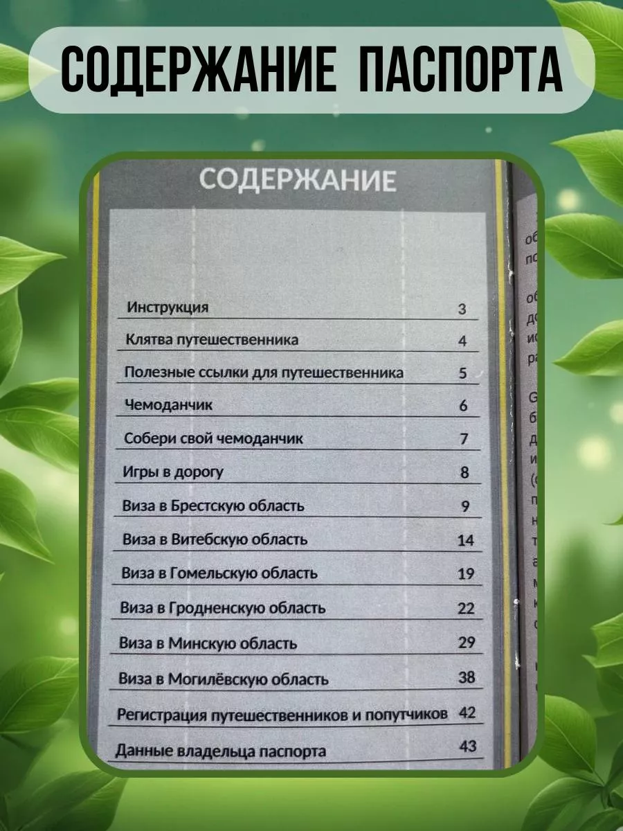 Паспорт путешественника по Беларуси 2rukina 173929764 купить за 2 507 ₽ в  интернет-магазине Wildberries