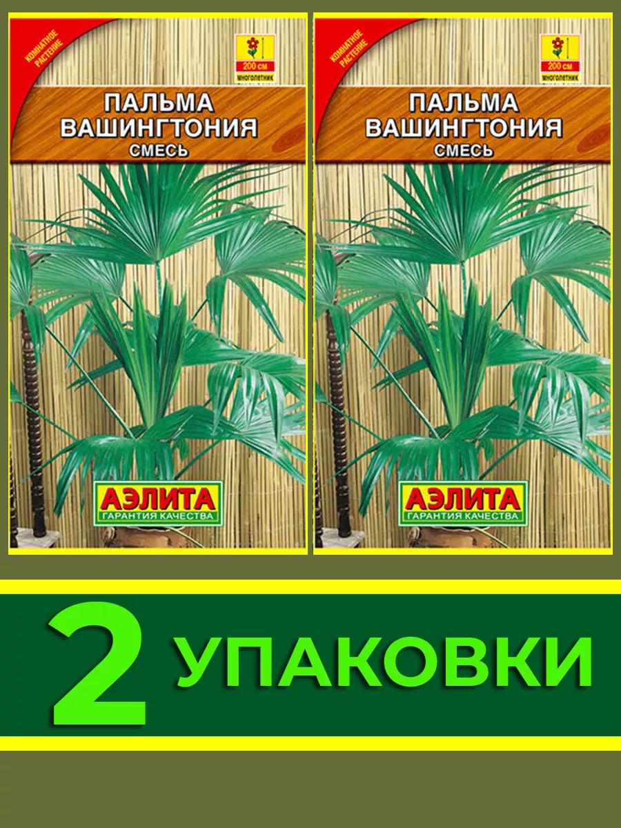 Семена пальмы комнатной Вашингтония Экзотические виды 173934609 купить за  176 ₽ в интернет-магазине Wildberries