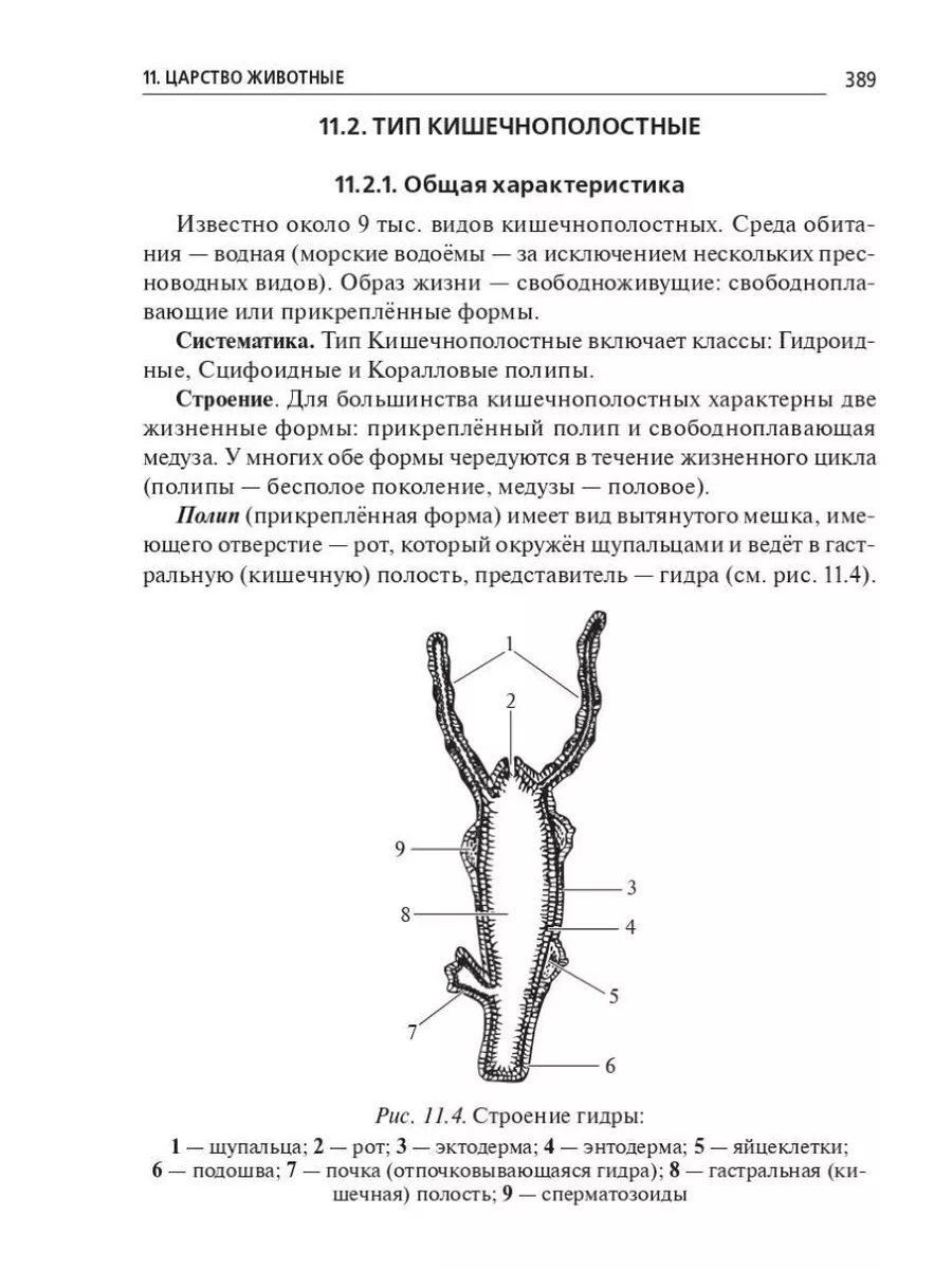 Биология Большой справочник для подготовки к ЕГЭ и ОГЭ ЛЕГИОН 173944483  купить в интернет-магазине Wildberries