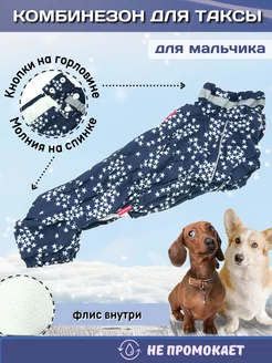 Тёплый комбинезон для таксы ForMyDogs 173992015 купить за 3 517 ₽ в интернет-магазине Wildberries