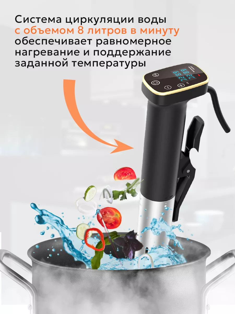 Су-вид погружной для приготовления блюд Fesso SAGE by Encome 174005424  купить за 5 639 ₽ в интернет-магазине Wildberries