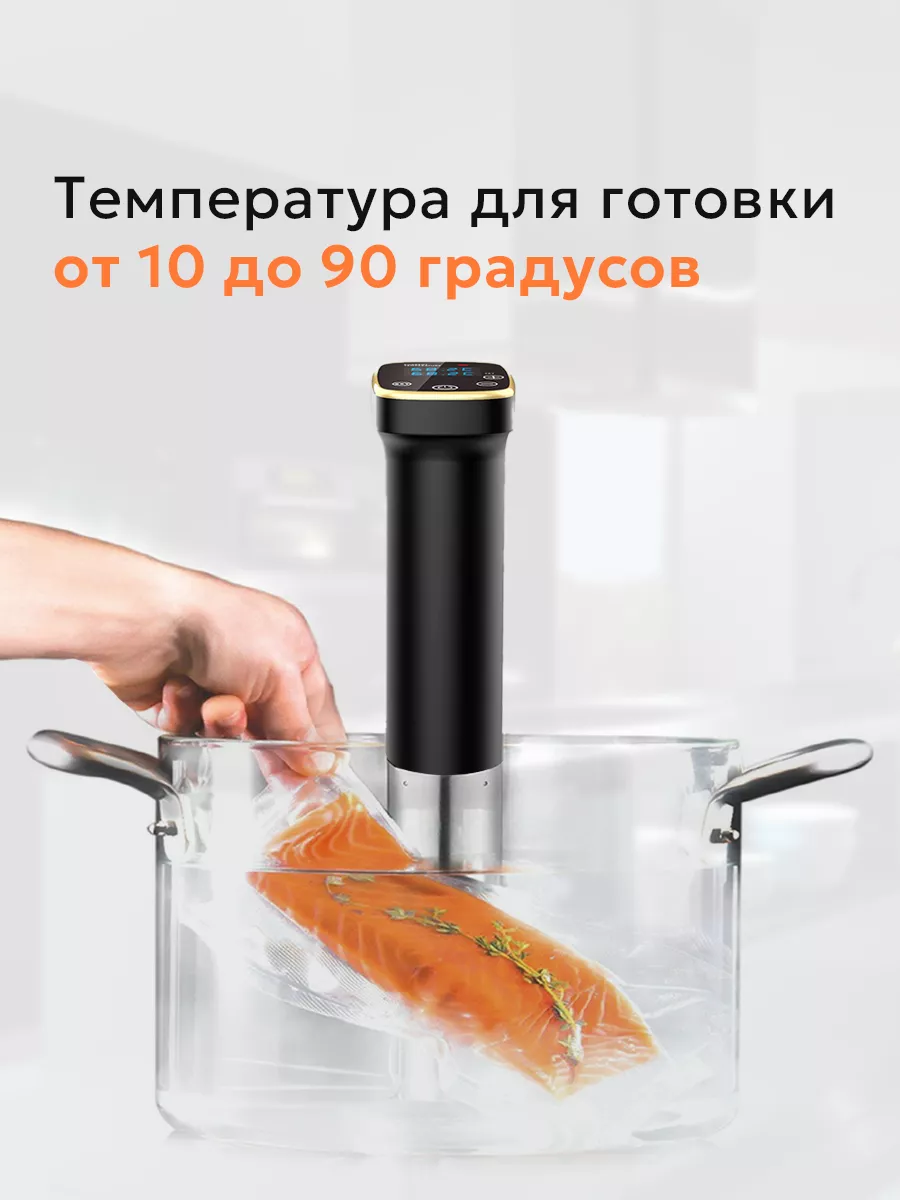 Су-вид погружной для приготовления блюд Fesso SAGE by Encome 174005424  купить за 5 639 ₽ в интернет-магазине Wildberries