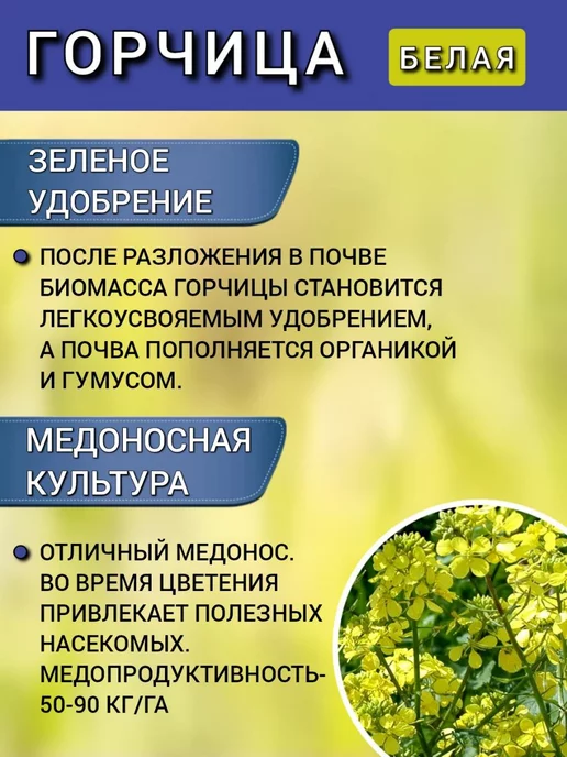 АГРОУСПЕХ Горчица семена на посев сидератов, 1 кг 2 шт, 1 кг, 2 шт, фото 2