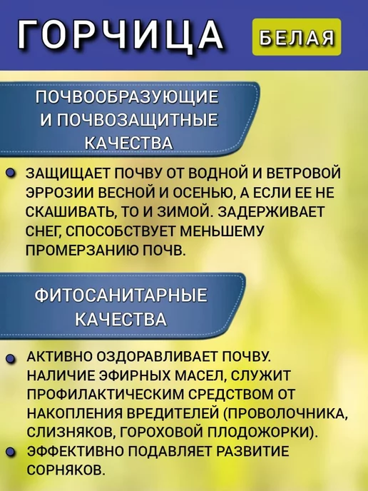 АГРОУСПЕХ Горчица семена на посев сидератов, 1 кг 2 шт, 1 кг, 2 шт, фото 3