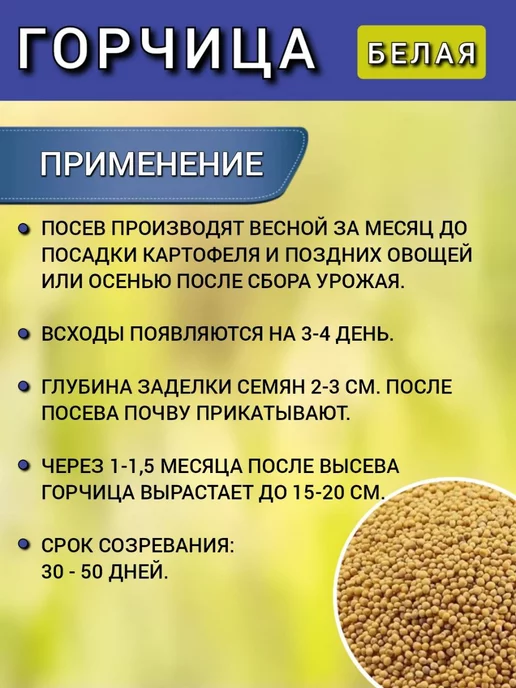 АГРОУСПЕХ Горчица семена на посев сидератов, 1 кг 2 шт, 1 кг, 2 шт, фото 4