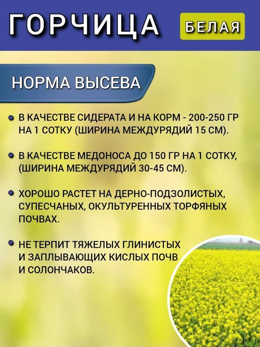 АГРОУСПЕХ Горчица семена на посев сидератов, 1 кг 2 шт, 1 кг, 2 шт, фото 5