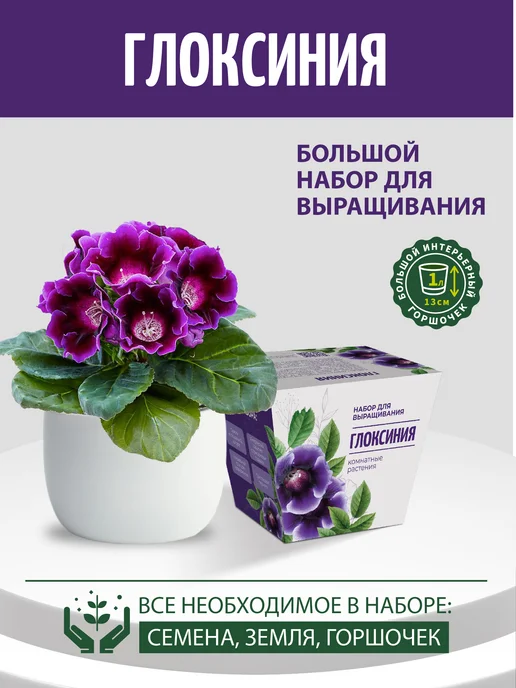 ЭкоКлуб Набор для выращивания "Комнатные растения. Глоксиния", вариант