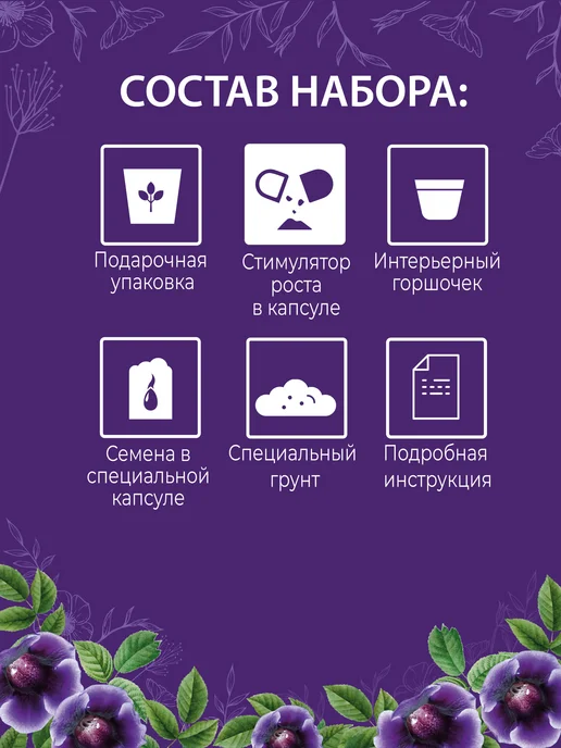 ЭкоКлуб Набор для выращивания "Комнатные растения. Глоксиния", вариант, фото 2