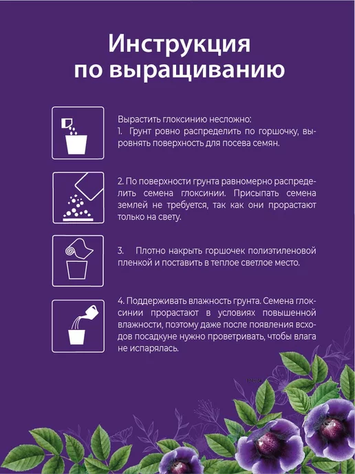 ЭкоКлуб Набор для выращивания "Комнатные растения. Глоксиния", вариант, фото 3