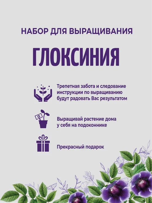 ЭкоКлуб Набор для выращивания "Комнатные растения. Глоксиния", вариант, фото 4