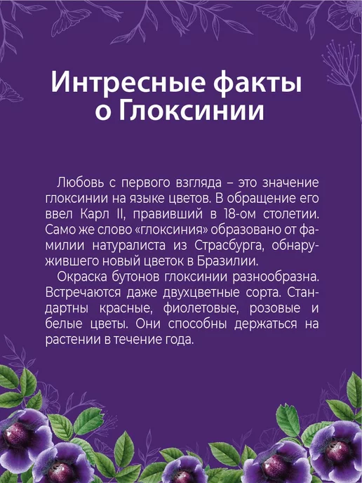 ЭкоКлуб Набор для выращивания "Комнатные растения. Глоксиния", вариант, фото 5