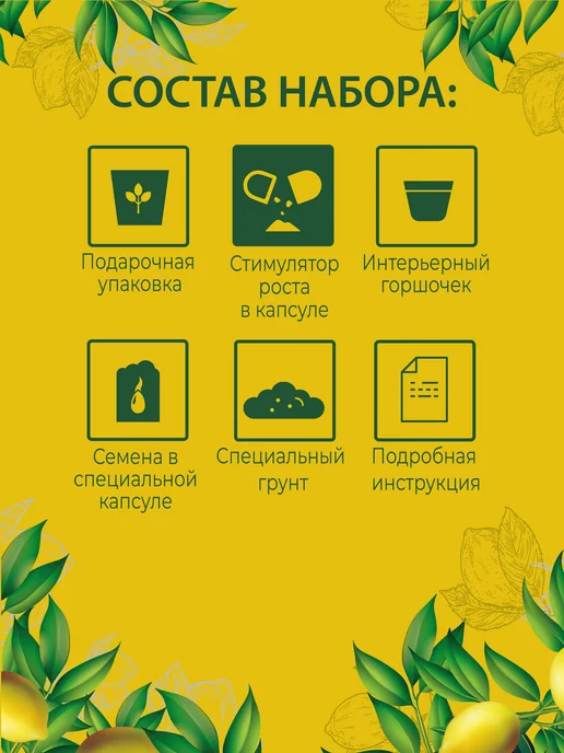 ЭкоКлуб Набор для выращивания бонсай "Комнатные растения. Лимон", вариант, фото 2