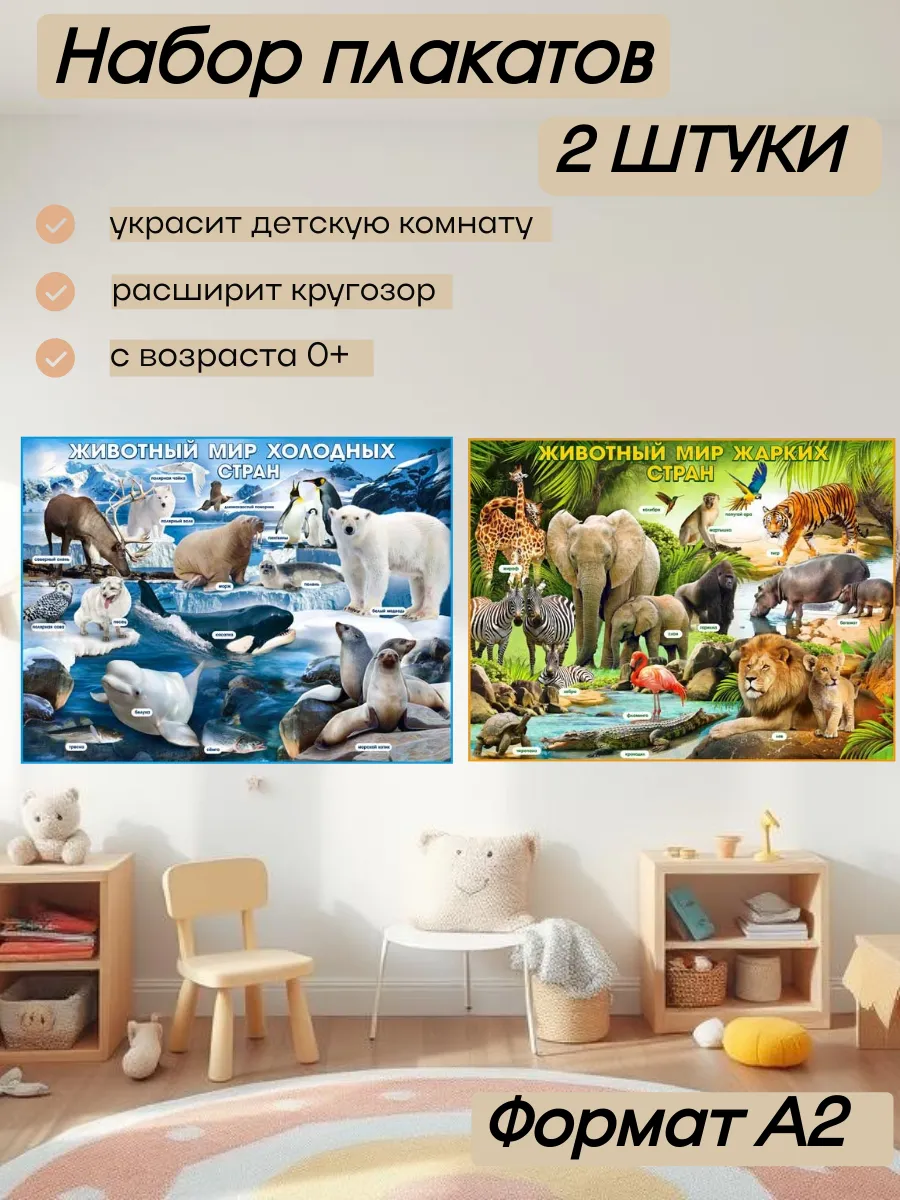 Набор детских плакатов с животными жарких и холодных стран
