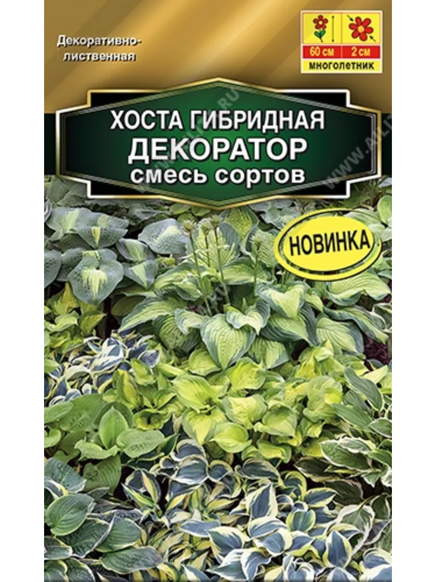 Хоста гибридная декоратор смесь сортов ( многолетняя) ДАЧА ОНЛАЙН 174218433  купить за 249 ₽ в интернет-магазине Wildberries